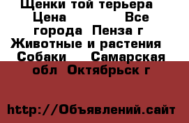 Щенки той терьера › Цена ­ 10 000 - Все города, Пенза г. Животные и растения » Собаки   . Самарская обл.,Октябрьск г.